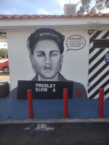 Elvis Mural